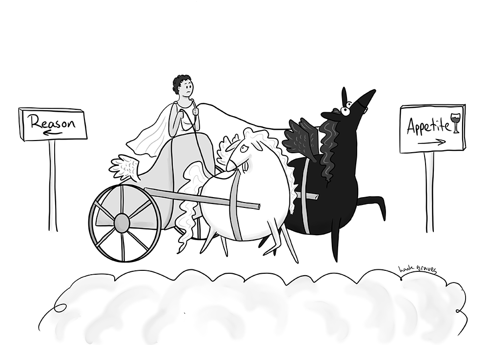 Digital art in a cartoon style of two pegasi, one white and one black, pulling a chariot. The black pegasi pulls towards a sign pointing towards "Appetite" while the white pegasi looks sadly back at a sign pointing towards "Reason." The charioteer holds the reigns and looks doubtful at the direction they're going.