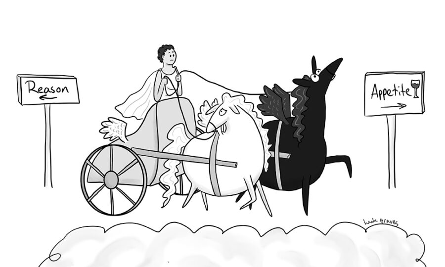 Digital art in a cartoon style of two pegasi, one white and one black, pulling a chariot. The black pegasi pulls towards a sign pointing towards 